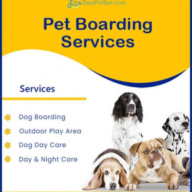 Pet Boarding Services Delhi - DeePet Services