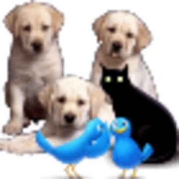 <strong>Error:</strong> Undefined array key "$manager_display_name"<br><strong>Line:</strong> 659<br><strong>File:</strong> tpl-listing.php<br>
