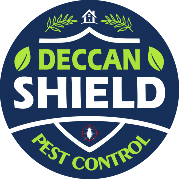 Deccan shield